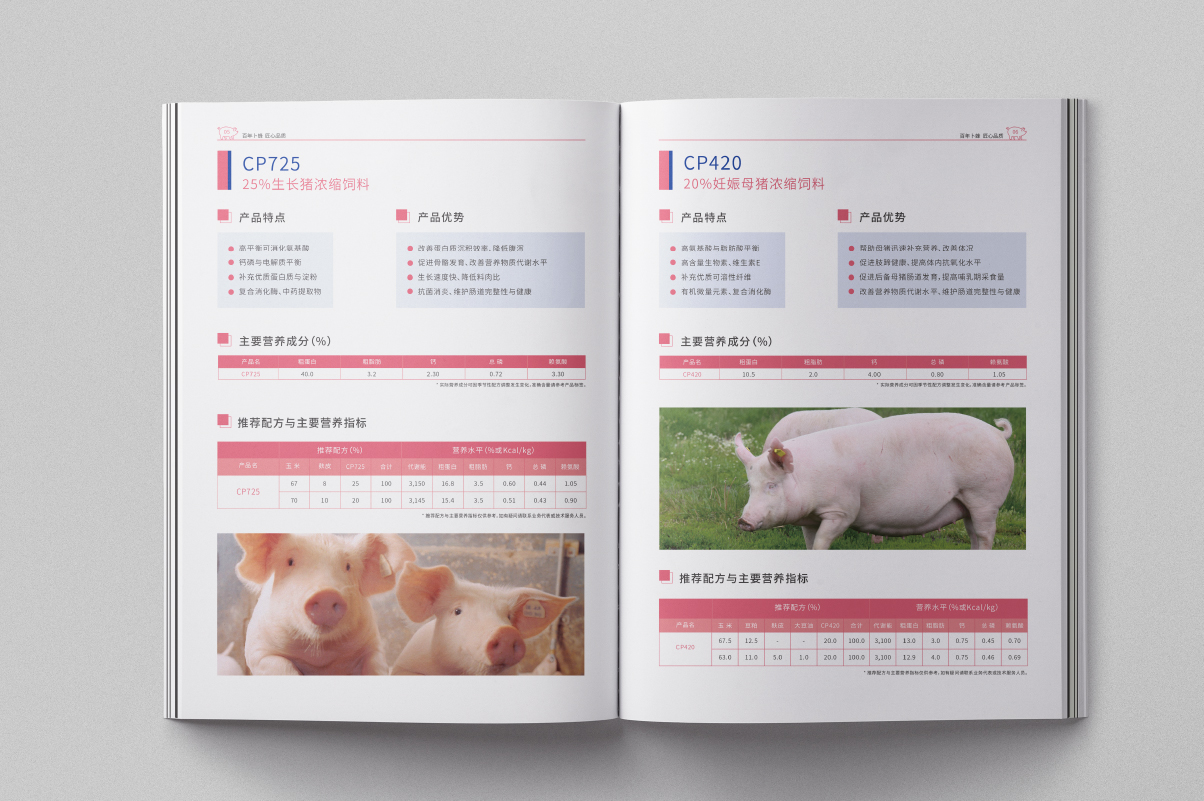 卜蜂集团猪饲料画册设计|猪饲料宣传册|苏州画册设计公司标志LOGO设计